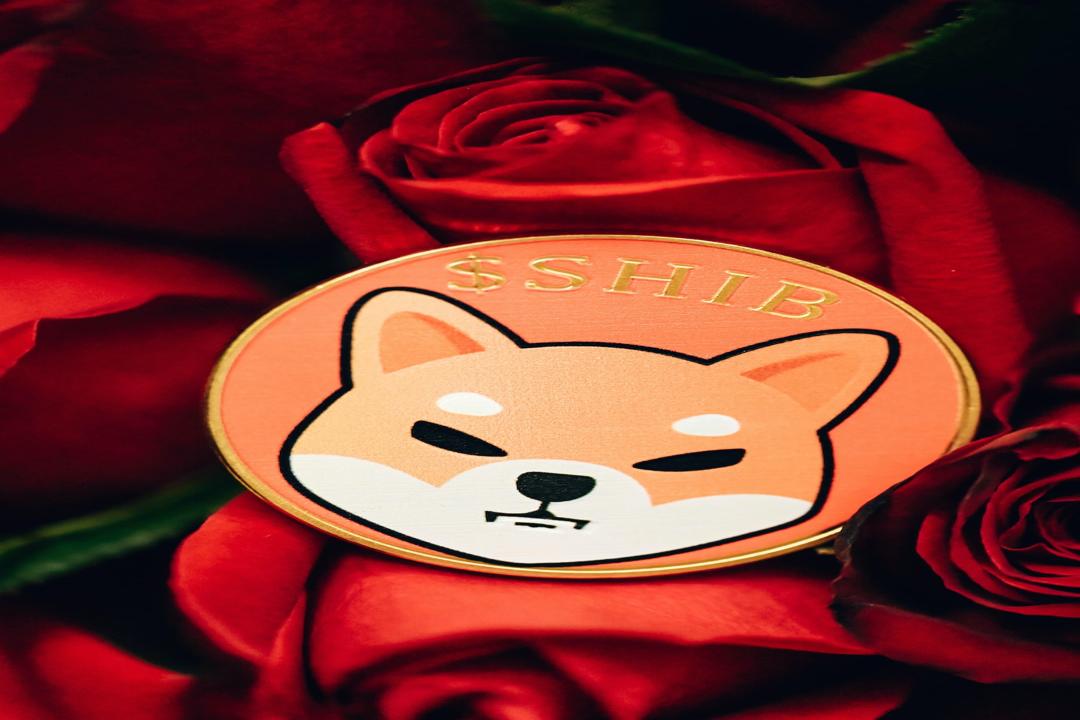 Riot 創下歷史新高收入，但因挖礦成本遭受損失